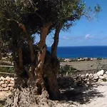 Baia Cofano クストナーチ