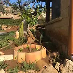 Apartamento Baia Cofano *